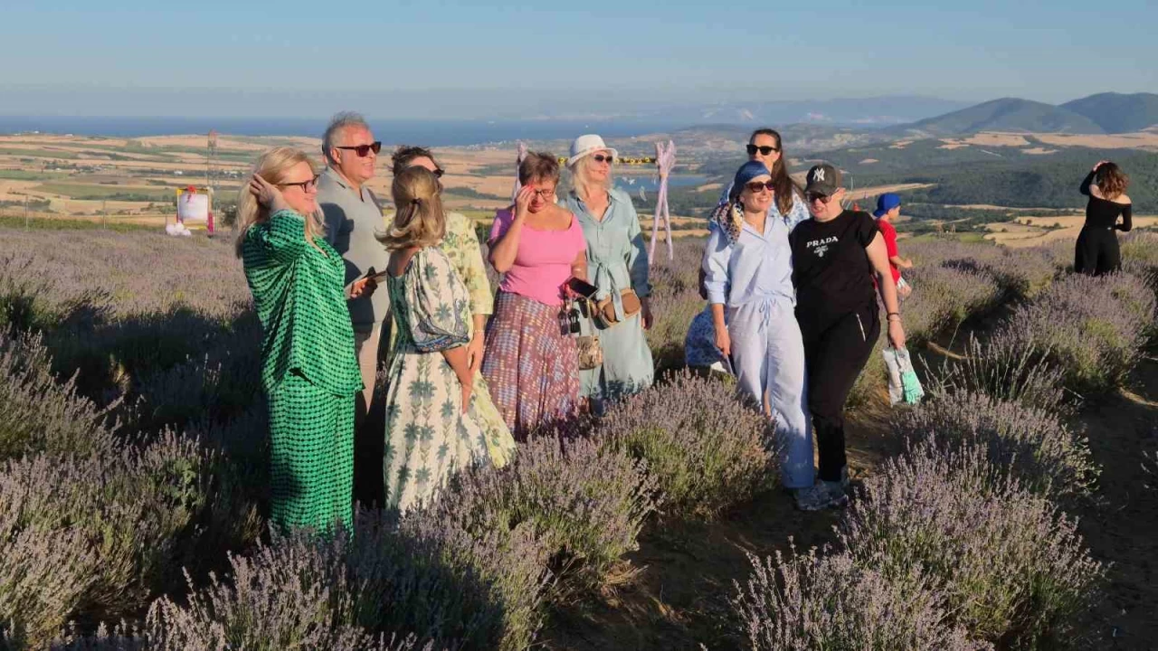 Rus turistler Tekirda�'da mor lavanta tarlalar�na hayran kald�