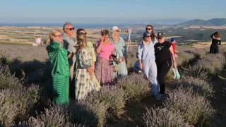 Rus turistler Tekirda'da mor lavanta tarlalarna hayran kald