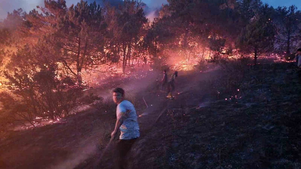Sakarya'da makilik alanda kan yangn sndrld