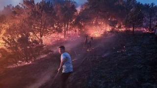 Sakarya'da makilik alanda kan yangn sndrld