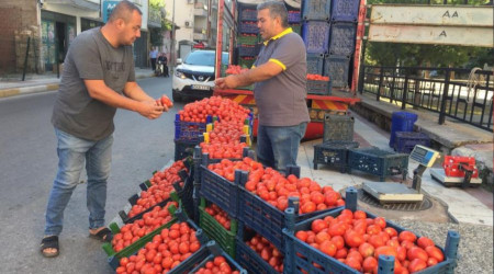 Salçalık domates fiyatları el yakıyor