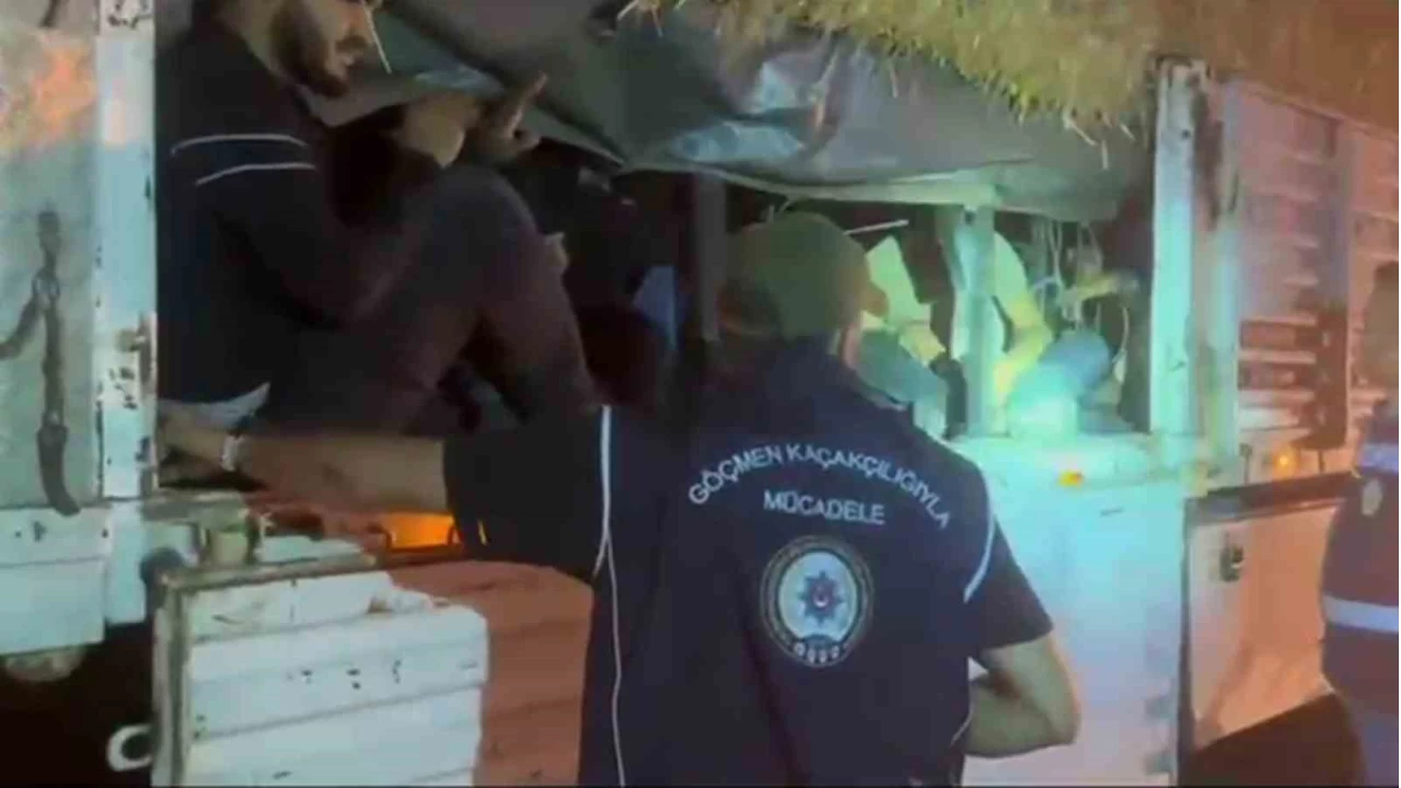 Saman balyalarının altından 31 kaçak göçmen çıktı