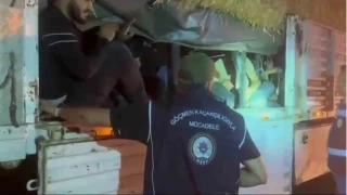 Saman balyalarnn altndan 31 kaak gmen kt