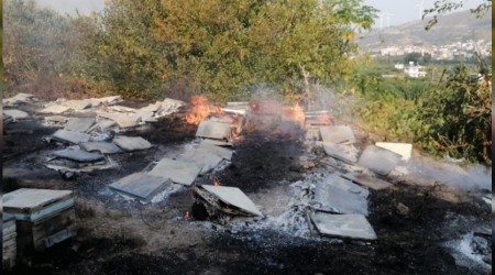 Samandağ'daki yangın sigara izmaritten çıkmış