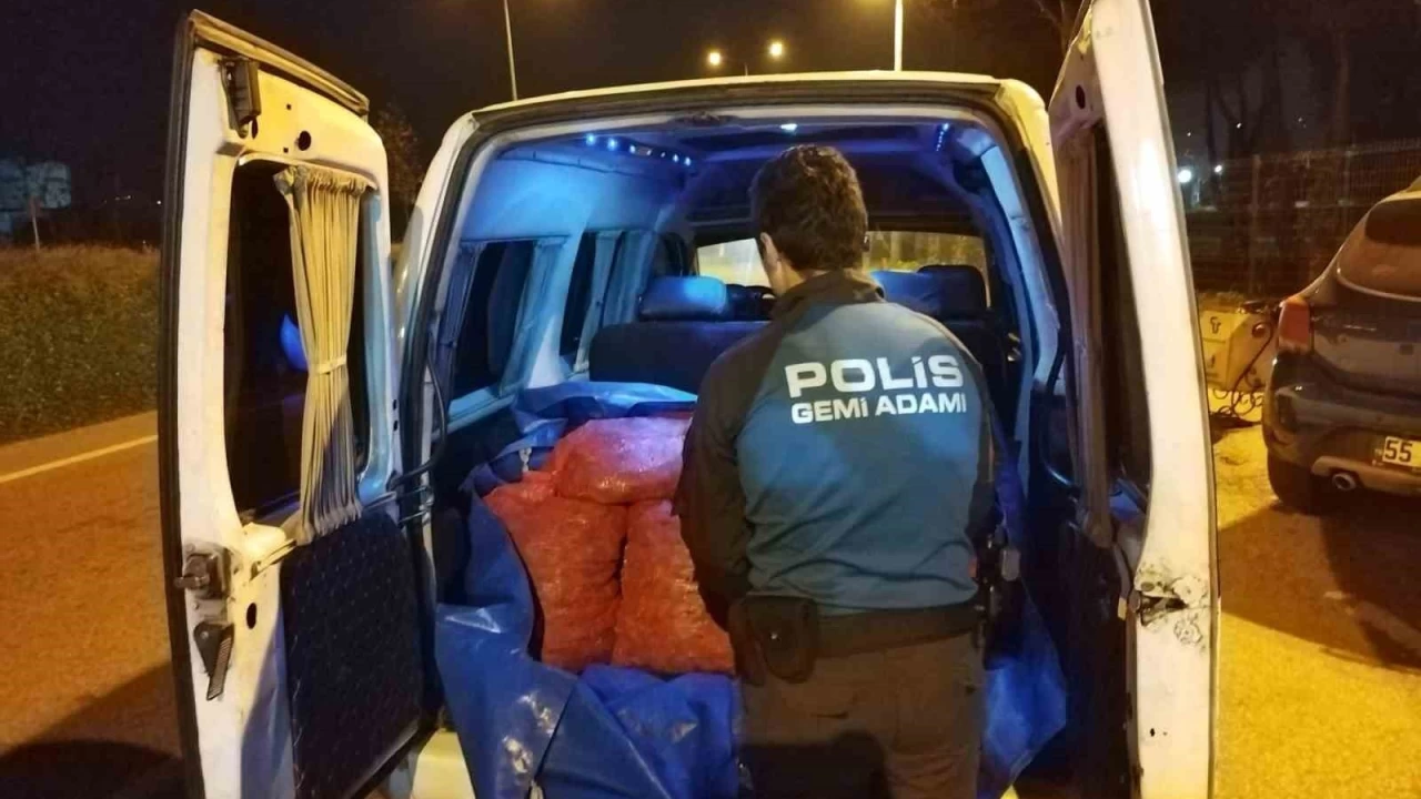 Samsun'da 200 kilo kaak midye ele geirildi