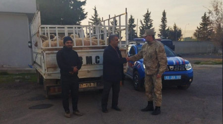 anlurfa'da hayvan hrszlar yakaland