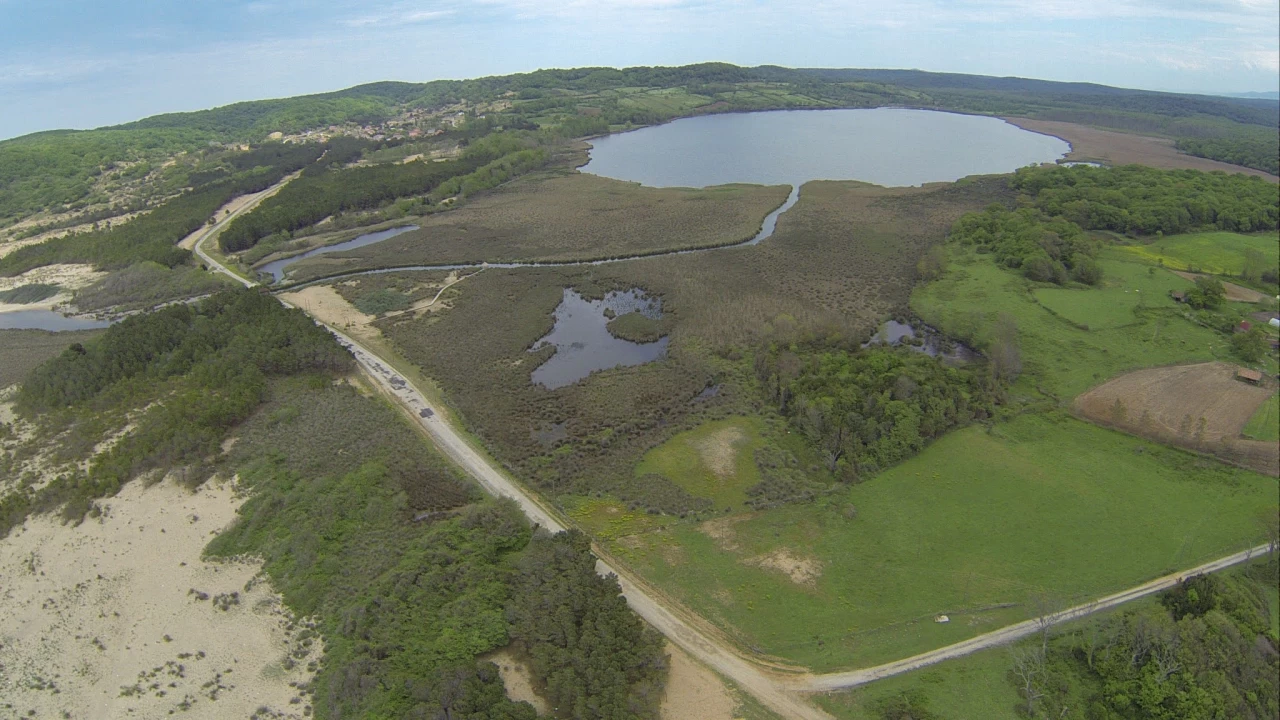 Sarıkum Gölü Tabiatı Koruma Alanı: Karadeniz’in aklı ekosistemi