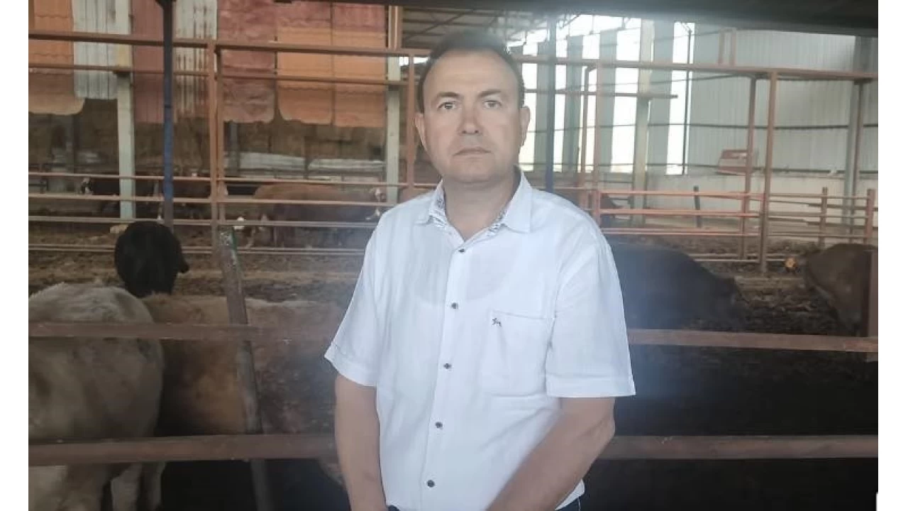 Satt��� kurbanl�k danan�n foto�raf�n� �ekerken can�ndan oldu