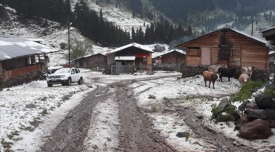 �av�at'�n k�yleri dolu ya����yla beyaza b�r�nd�