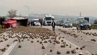 eker pancar ykl tr 2 araca arpp devrildi: 1'i ar 5 yaral