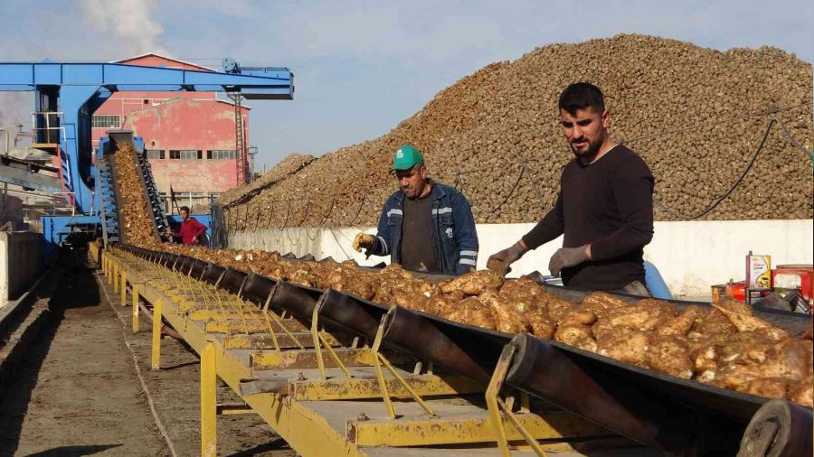 eker pancarndan Mu'a 1.4 milyar lira katk
