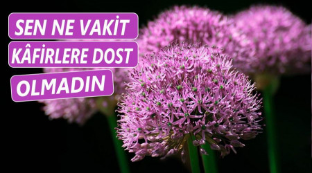 ‘Sen ne vakit kâfirlere dost olmadın!’