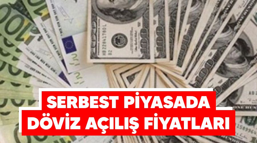 Serbest piyasada döviz açılış fiyatları
