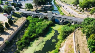 eytan Deresi yosun tuttu