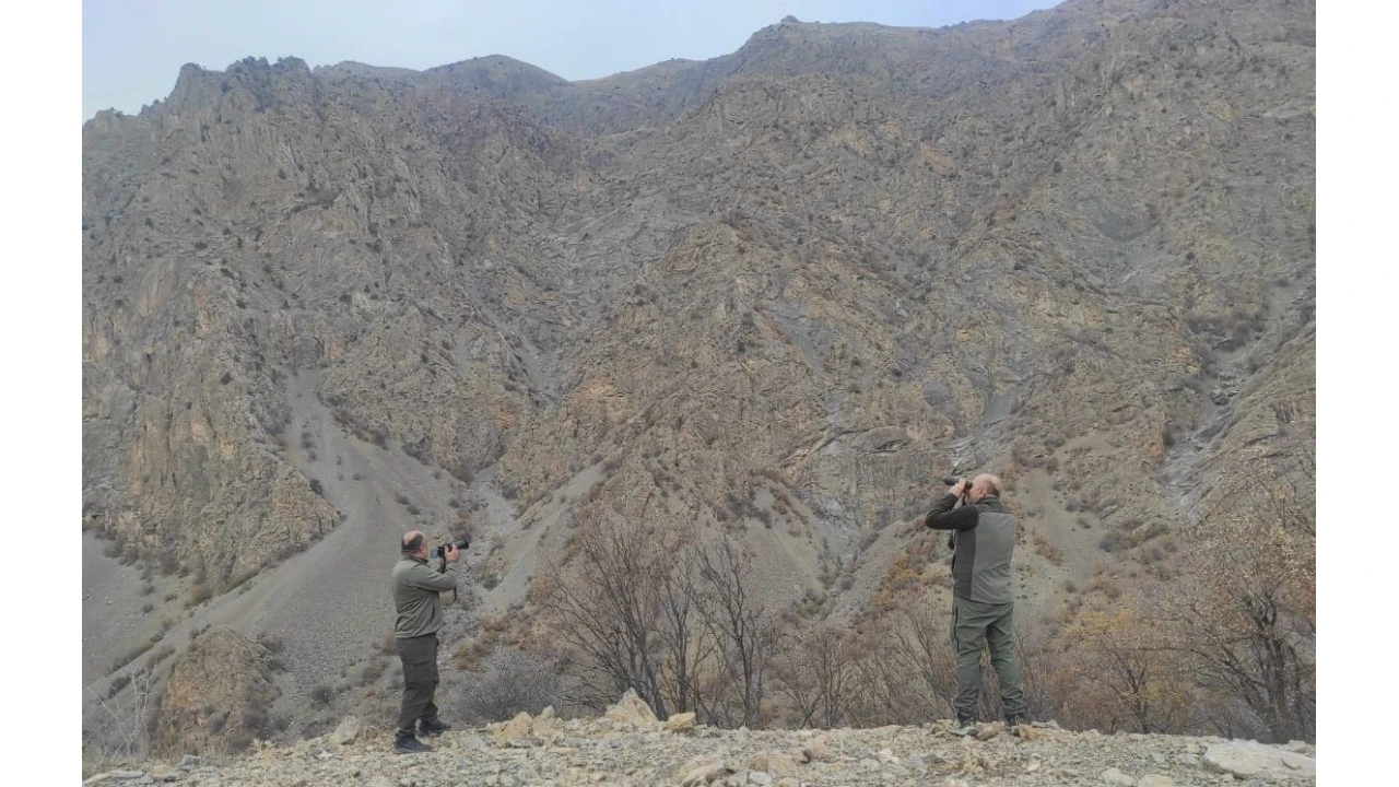 Siirt'te kaçak avlanmaya 15 bin lira ceza