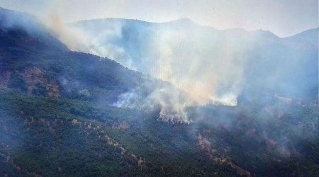 Siirt'teki orman yangn 52 saatin sonunda sndrld