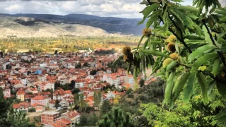 Simav: Termalin bakenti 