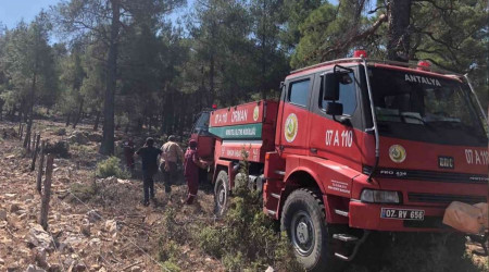 Şimşekler orman yangını çıkardı