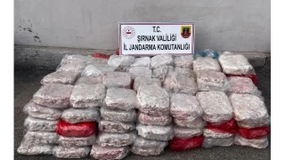 rnak'ta 6 milyon 800 bin liralk kaaklk nlendi