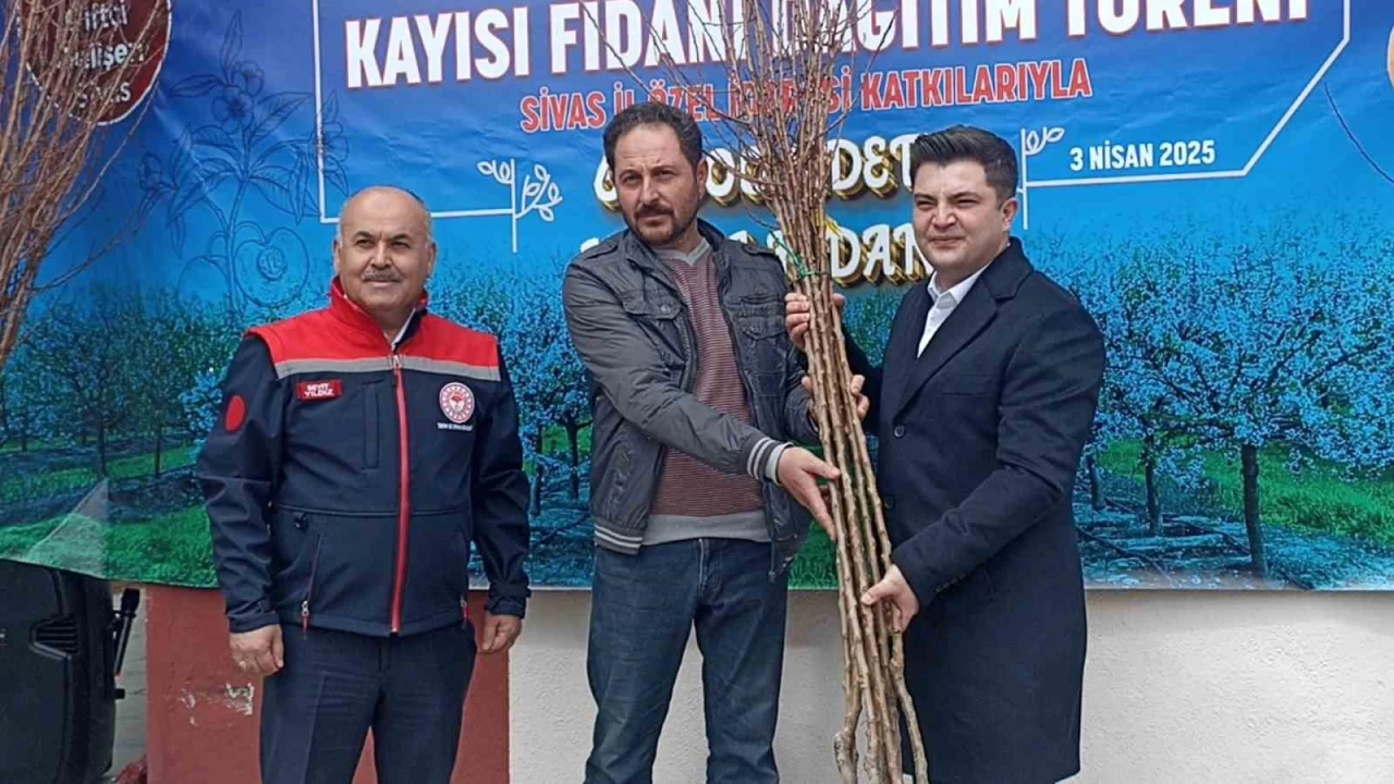 Sivas'ta �ift�ilere 50 bin kay�s� fidan� da��t�ld�