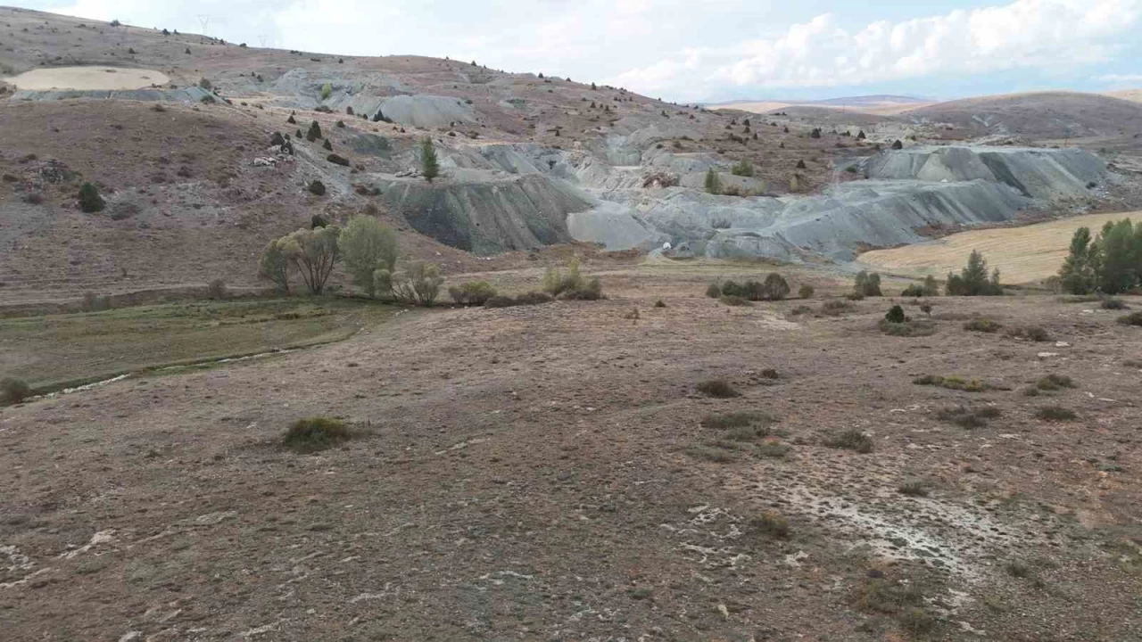 Sivas'ta lke ekonomisini deitirecek 2 nemli keif