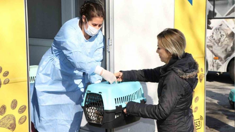 Sokak kedilerine kısırlaştırma karavanı