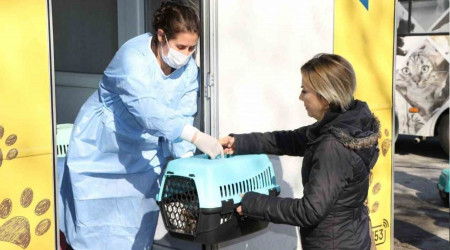 Sokak kedilerine kısırlaştırma karavanı