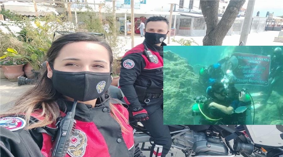 Su üstündeki yunuslardan su altında evlenme teklifi