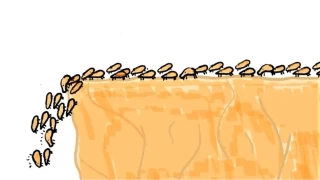 Sr psikolojisi nedir?