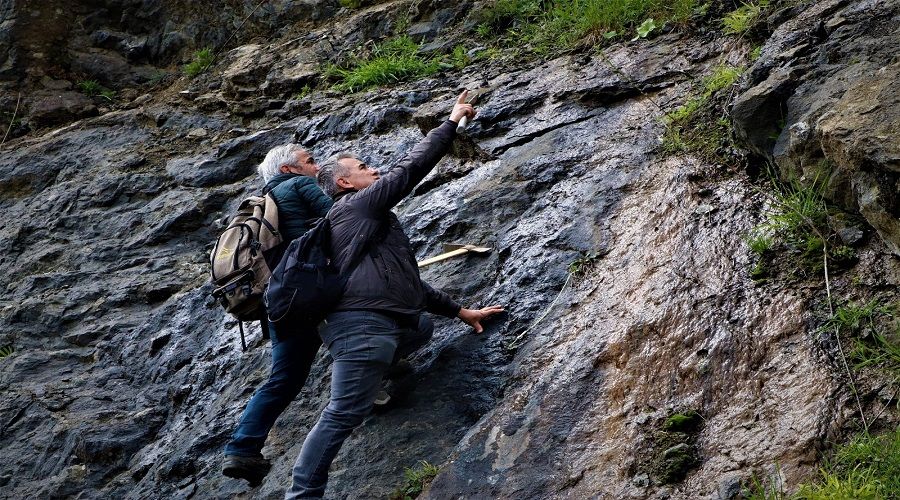 S�s ta�� avc�lar� da�larda