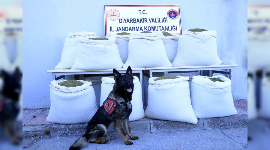 Takibe alınan araçta 346 kilogram esrar ele geçirildi