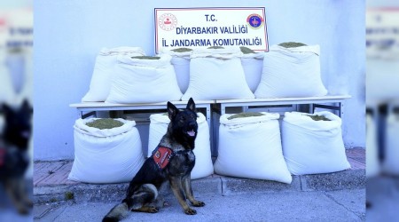 Takibe alınan araçta 346 kilogram esrar ele geçirildi