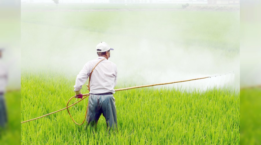 Tar�m ilac� kullan�m� T�rkiye'de h�zla art�yor