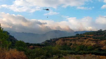 Tekirdağ'da orman yangını korkuttu