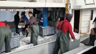 Tekirdal balklar kasa kasa balkla dndler