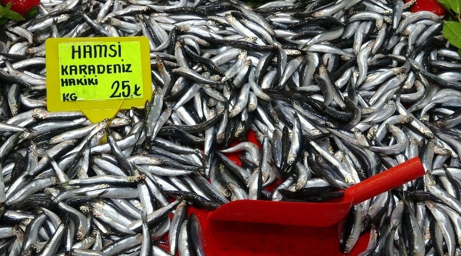 Tezgahlarda hamsi bolluu