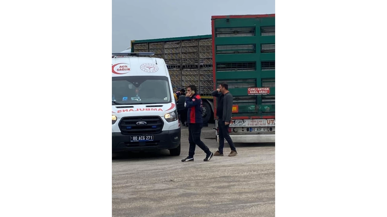 Tırın altında kalan yaşlı adam hayatını kaybetti