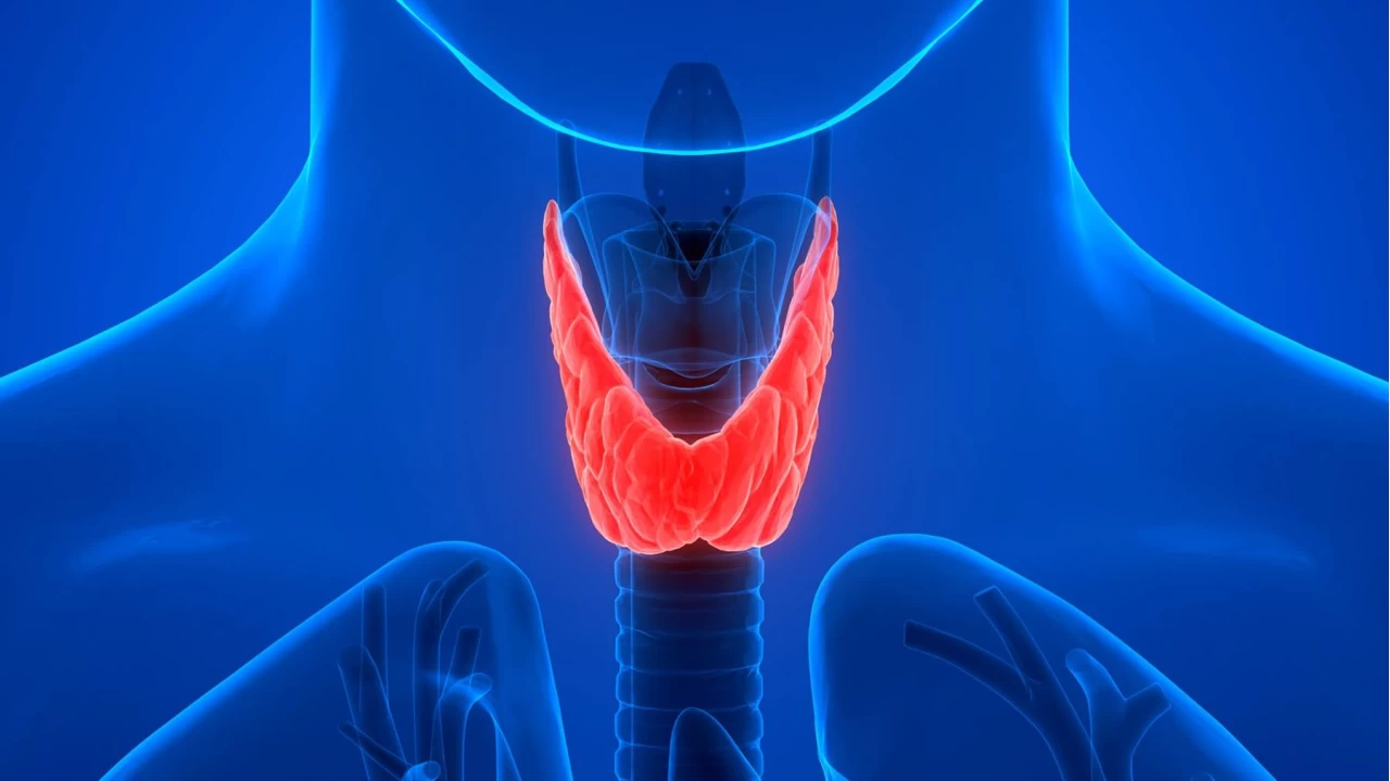 Tiroit Bozukluklar� �ocuklar�n Geli�imini Etkiliyor