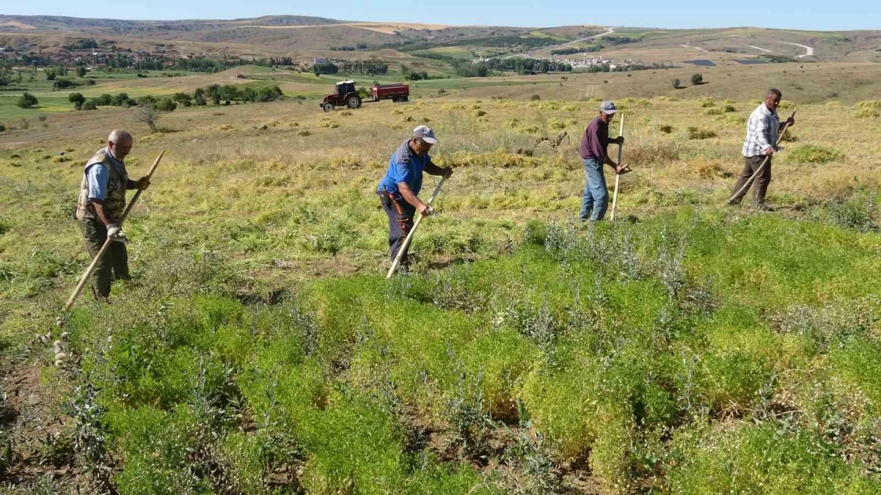 T�rpan i��ilerinin g�nl��� bin 500 TL