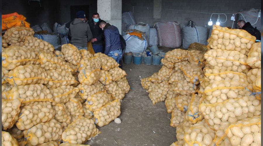 TMO, Nev�ehir'de patates al�mlar�na ba�lad�