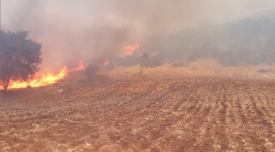 Trafo kaynaklı yangın 50 dönümlük alanı kül etti