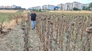 Trakya Birlik'e tepki byyor