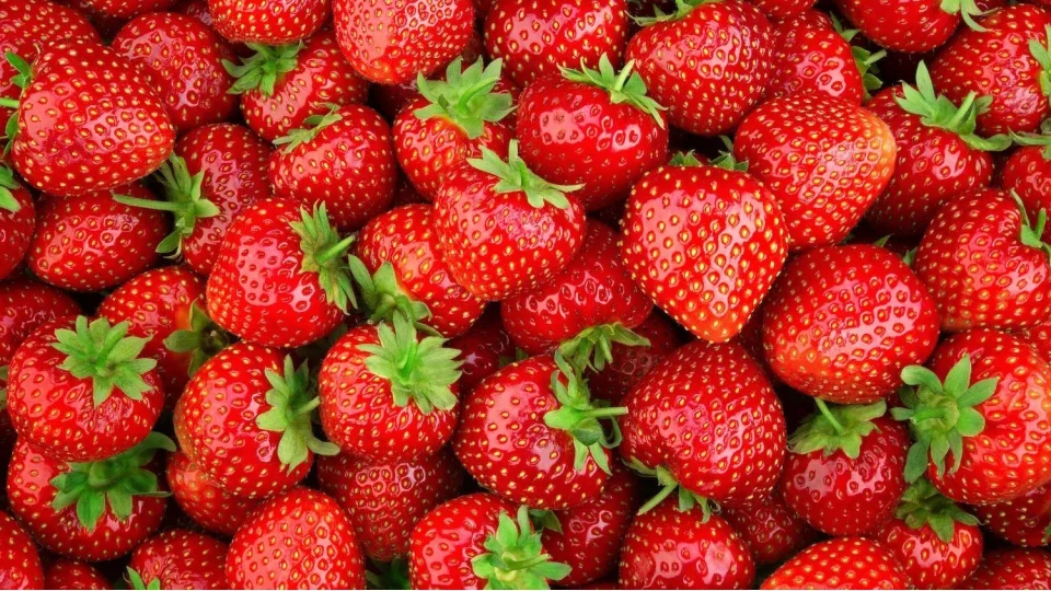 T�rk �ile�i d�nya pazar�nda y�zde 125 daha de�erli hale geldi