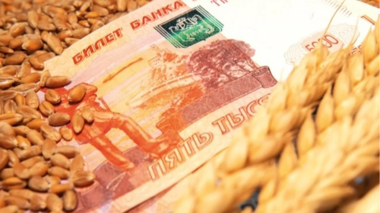 Türkiye Rusya'nın tahıl ihracatında ikinci pazar oldu