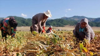 TZOB: 'Kadn iftilerimiz krsaln umudu, tarmn gvencesidir'