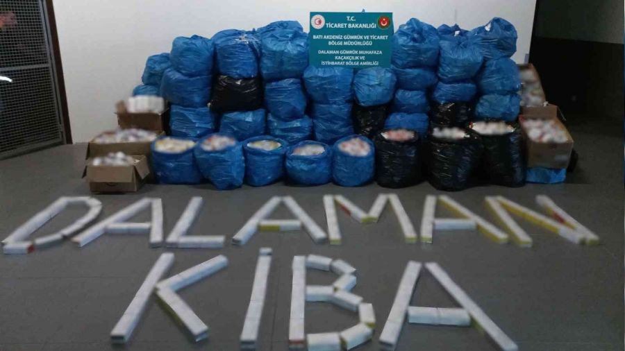 Uçaktaki 49 yolcunun ortak planı güvenliğe takıldı