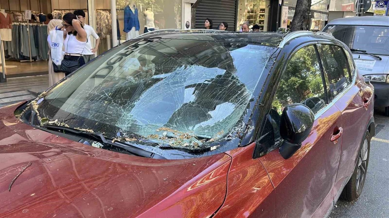 Üsküdar'da park halindeki aracın üzerine ağaç devrildi