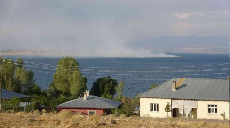 Van Gölü'nün en büyük adasında yangın