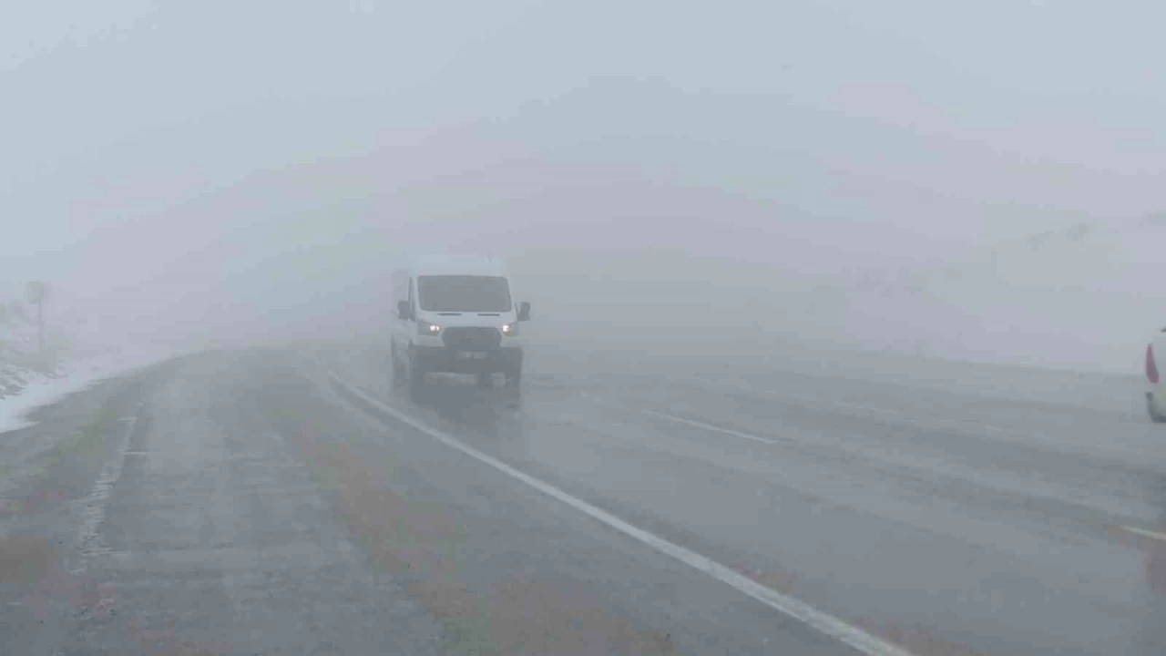 Van'da Kuruba� ve G�zeldere Ge�idi'nde sis etkili oldu