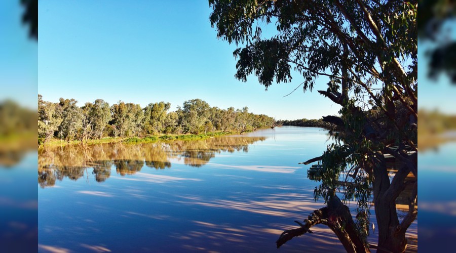 Vedud ismine kim lay�kt�r?